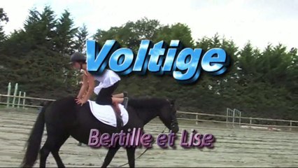 AEQUI22 PO 2015 Voltige