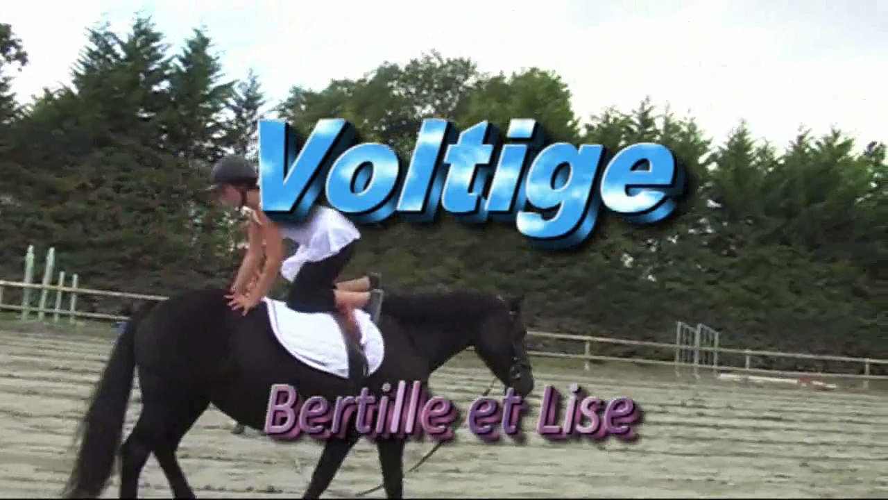 AEQUI22 PO 2015 Voltige