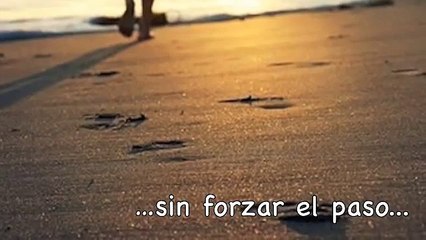 Te seguiré (Alejandro Labajos,SJ)