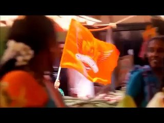 Sunrisers Hyderabad New Theme full video Song   2015 GO GO     ORANGE ARMY