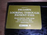 Pm Dawn   Looking Through Patient Eyes Pete Rock Remix