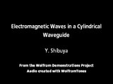 Electromagnetic Waves in a Cylindrical Waveguide