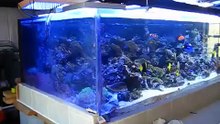 1200 gallon reef aquarium with 3 Solatubes