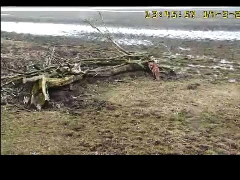 De onrust neemt toe.....