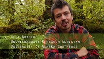Effects of Spawning Salmon on Stream Ecosystems