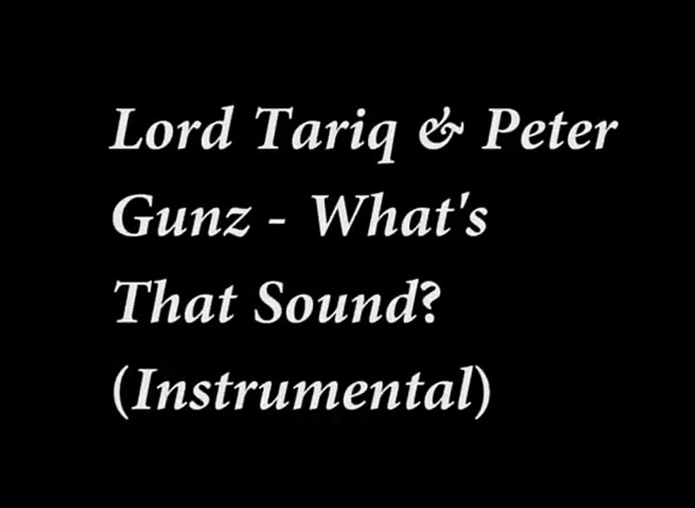 Lord Tariq & Peter Gunz - Whats That Sound (Instrumental)