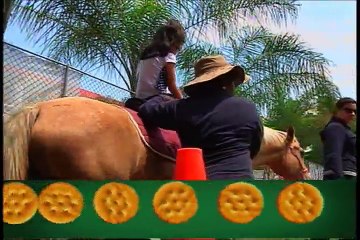 Bien Informado - Cursos de Equinoterapia