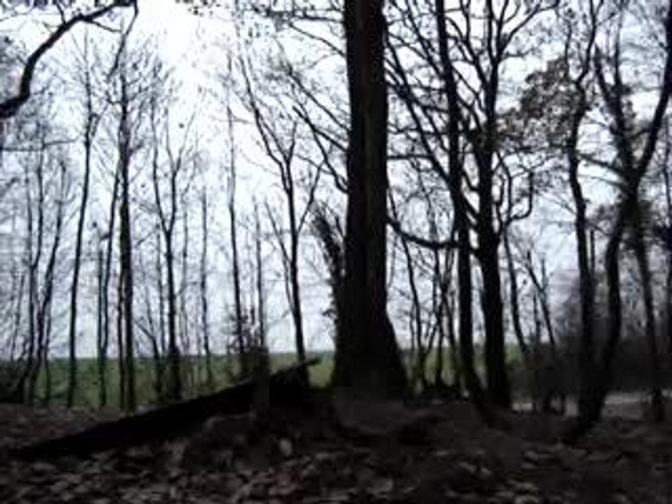 MOV01102