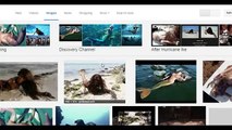 Real Mermaid Found Alive - Animal Planet Real Mermaid The Body Found - Real Mermaid Documentary 2015