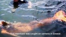 Real Mermaids - Real Mermaids Caught on Camera - Real Mermaid Evidence-Sightings