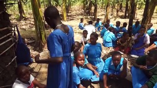 School gardens: increasing food security and income in households
