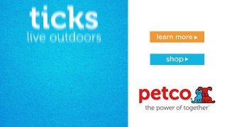 How To Check Your Pet for Ticks (Petco)