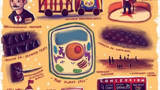 animal cell brochure