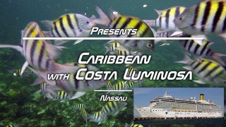 Nassau - Snorkeling (Costa Luminosa Excursion)