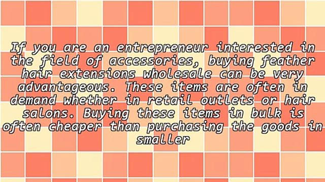 Entrepreneurs Advantages From Acquiring Feather Hair Extensions Wholesale
