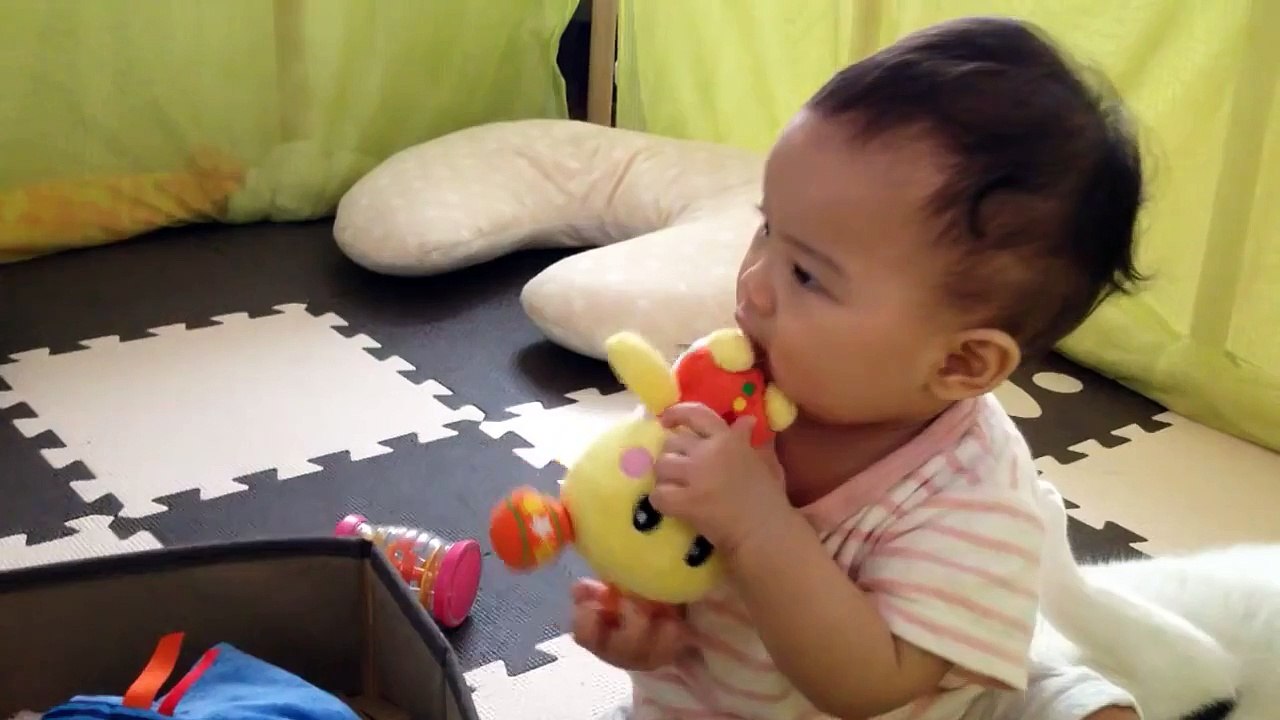 赤ちゃん大好き猫、静かすぎて伝わらないアピール A Baby Takes No Notice of a Cat's Appeal