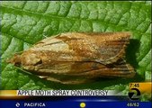 John Russo Fights Aerial Spraying of Light Brown Apple Moth