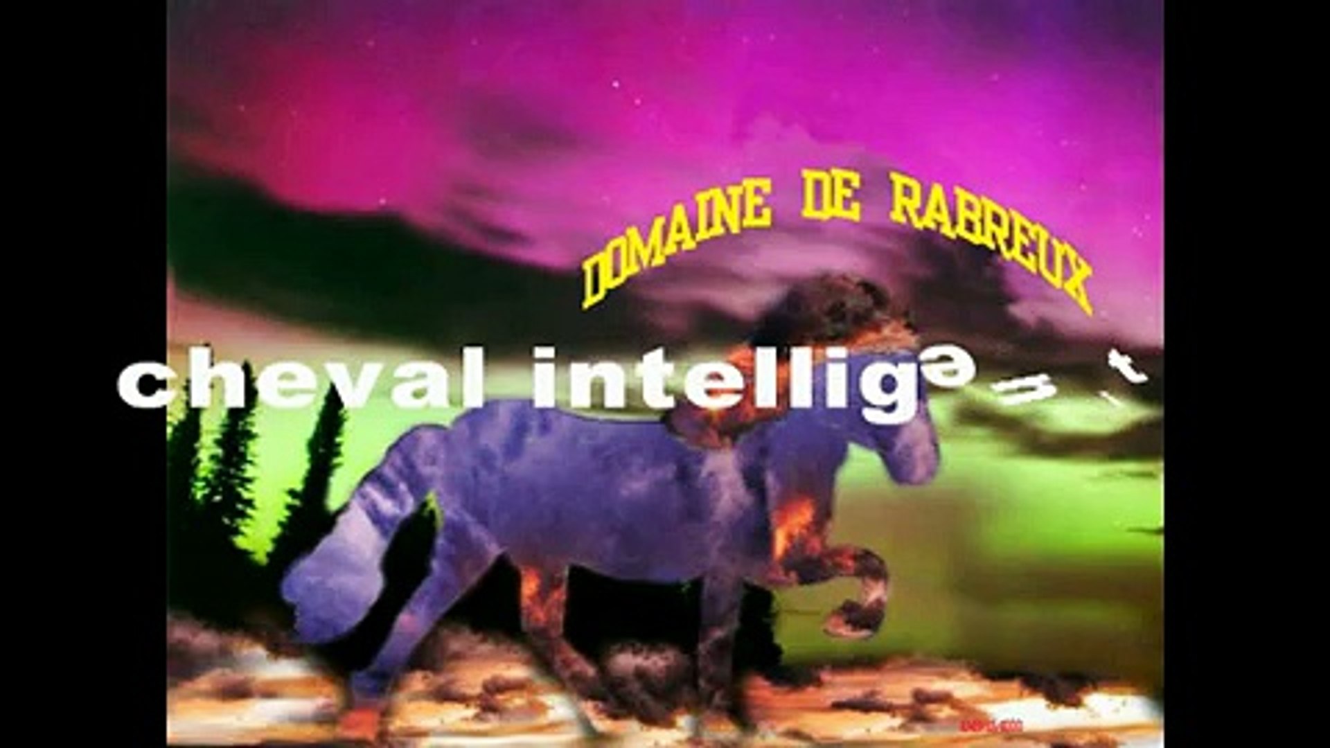 CHEVAL ISLANDAIS -INTELLIGENT-DOMAINE DE RABREUX-40--Intelligent horse skeifa