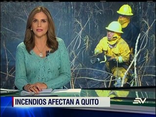 Incendios siguen afectando a vegetación de Quito