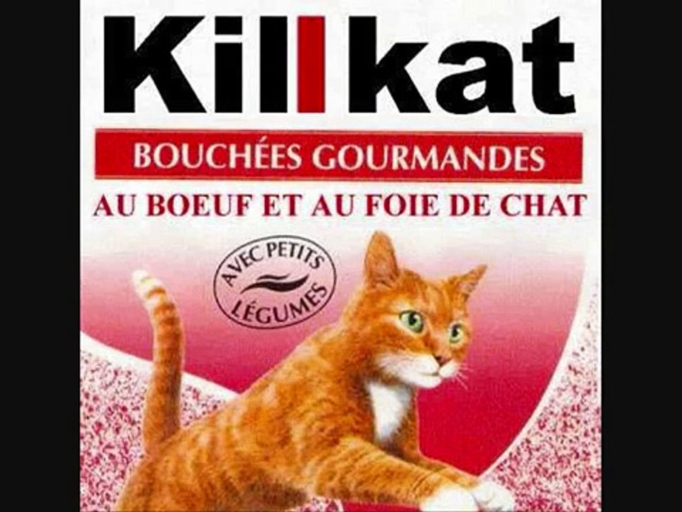 photos insolites droles d animaux , chats , chiens,etc