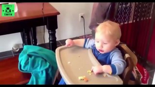 Funny Baby   Funny Videos   Funny Babies Compilation 2015