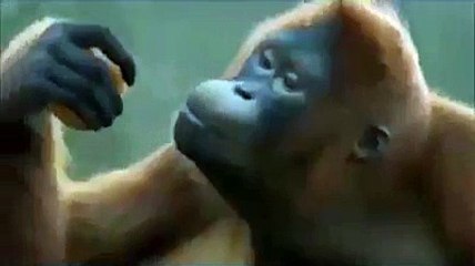 Jitna bhai Imran Jitna