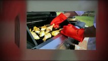 HOT GRIPS - Best Silicone BBQ Gloves, Oven Mitts, Pot Holder