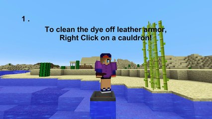 10 Things You Probably Didn't Know About Minecraft! |HardcoreAlpaca|