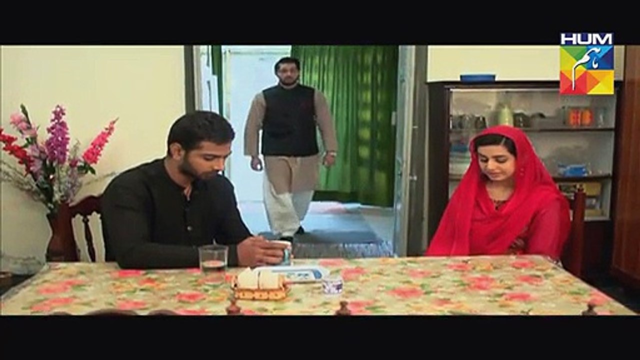 Ishq Ibadat Episode 31 Full HUM TV Drama 10 Sep 2015 - 10 Sep 2015