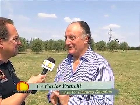 BUSCADORES - Informe Olivares Salteños, Cr. Carlos Franchi - 04/10/2013