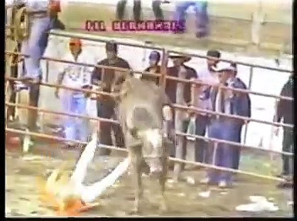 GANADERIA LA GUERRERA SELECCION LAS CRUCES