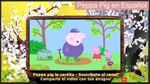 ►PEPPA PIG EN ESPAÑOL VIDEO 29 - PEPPA PIG CAPITULOS COMPLETOS HD