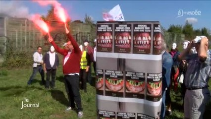 Paquets de cigarettes neutres : Manifestation en Vendée