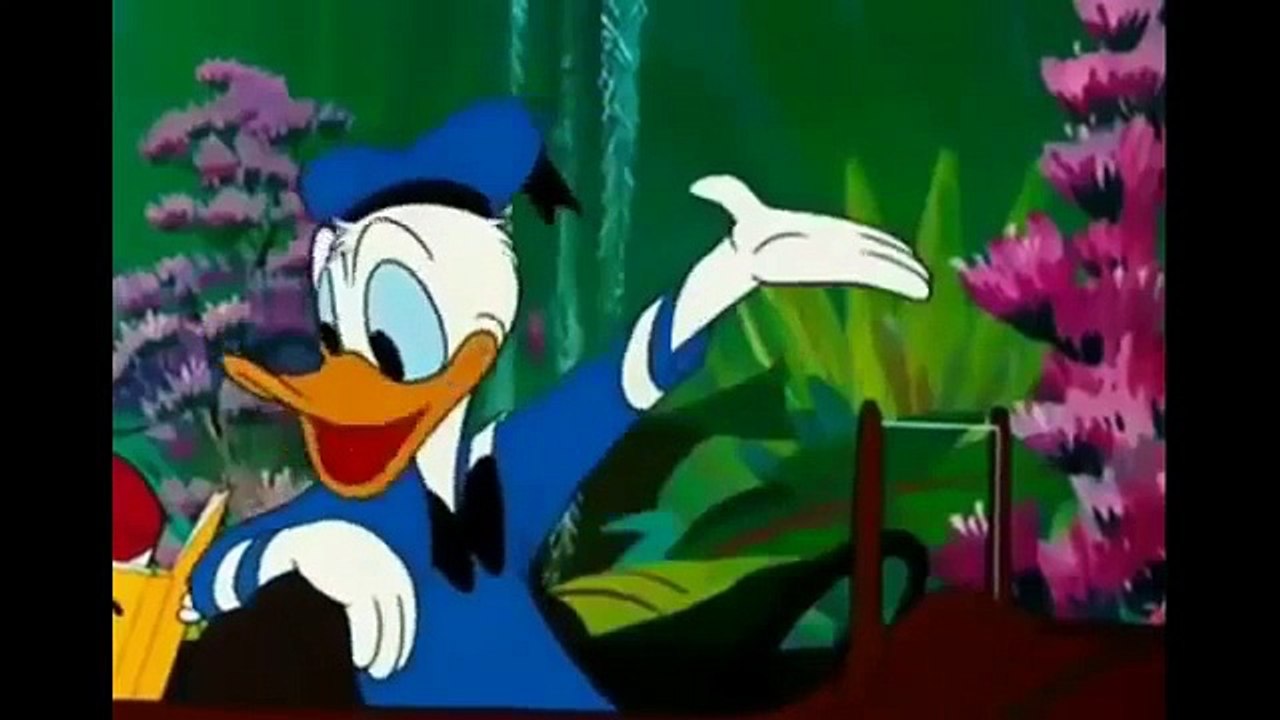 donald duck cartoons new good 2015