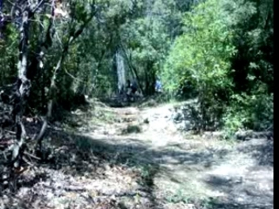 Les marches de notre dame du glaive