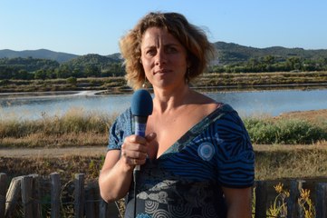 Un Peintre aux Salins de Hyères 2014 - Interview Frédérique Gimond-Lanteri - 720p