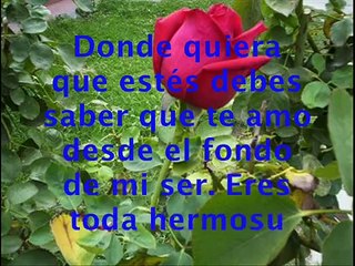 EL CIELO SE QUEDO SIN ESTRELLAS