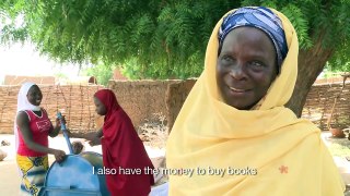 Financing the future: Smallholder inventory credit in Niger