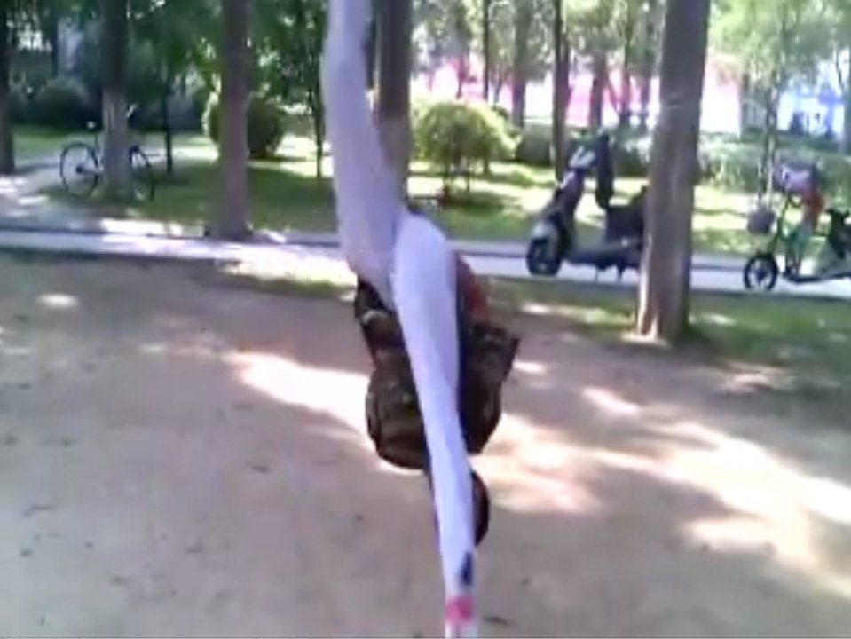 Man does front flips with hands tied behind his back