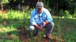 How To Control Summer Grasses and Weeds Fast!