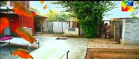 Pakistani Drama, Ishq Ibadat, Episode 31, Full