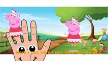 Peppa Pig Finger Family Nursery Rhymes Peppa Pig Cartoon Animation Songs for Kids
