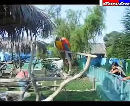 PARQUE DE LAS LEYENDAS Y ZOOLOGICO DE LIMA