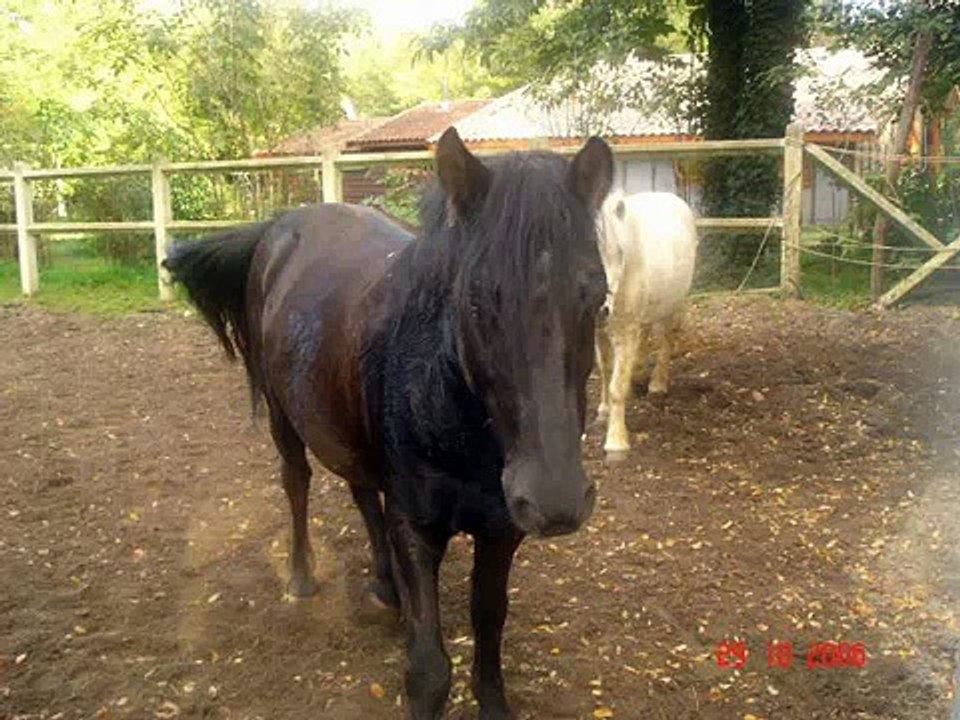 CENTRE EQUESTRE