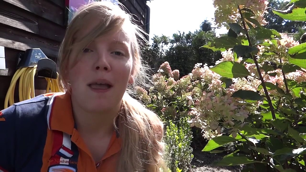 EEN KIJKJE IN DRESSUURSTAL DE RUITER l PaardenpraatTV