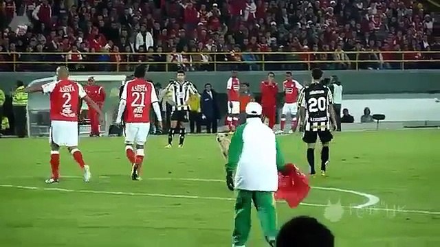 Funny Football Moments, Football Comedy ► Player and Animals on the Pitch