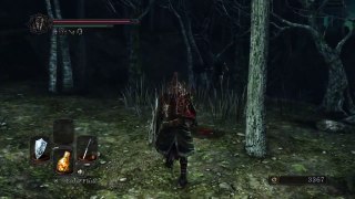 DARK SOULS 2 wtf moment