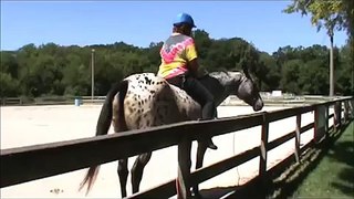 Appaloosa Week