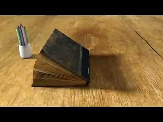 How to Raise a Wild Child Audio Book