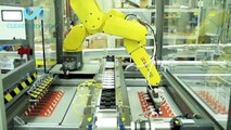 Automated Blister Sealing System with Three FANUC Robots for Load/Unload -- Clear Automation